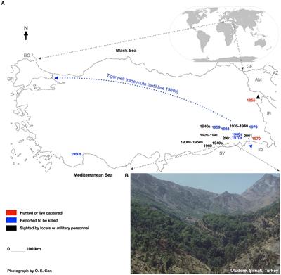 Cognitive biases can play a role in extinction assessments: The case of the Caspian tiger